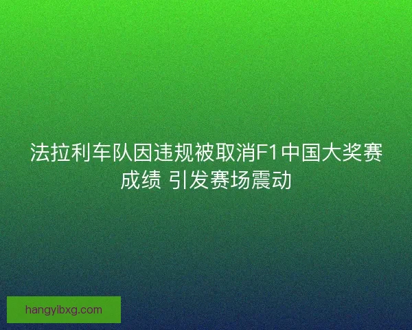 法拉利车队因违规被取消F1中国大奖赛成绩 引发赛场震动