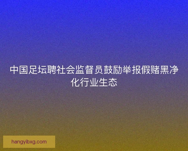 中国足坛聘社会监督员鼓励举报假赌黑净化行业生态
